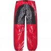 Thumbnail for Supreme The North Face Trompe L’oeil Printed Mountain Pant