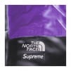 Thumbnail for Supreme The North Face Trompe L’oeil Printed Mountain Pant