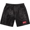 Supreme Gradient Mesh Stripe Baggy Short (SS23) - Black