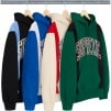 Thumbnail Paneled Arc Hooded Sweatshirt