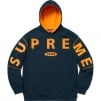 Thumbnail for Spread Logo Hooded Sweatshirt