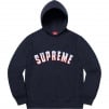 Supreme Icy Arc Hooded Sweatshirt (FW20)