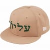 Thumbnail for Hebrew New Era