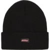 Thumbnail for Supreme Dickies Beanie