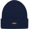 Thumbnail for Supreme Dickies Beanie