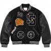 Thumbnail for Tiger Varsity Jacket