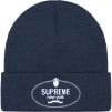 Thumbnail for Crest Beanie