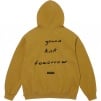 Thumbnail for Jane's Addiction Hooded Sweatshirt