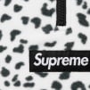 Supreme Polartec Facemask Half Zip Hooded Sweatshirt (FW24) - Leopard