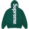 Thumbnail for Satin Appliqué Hooded Sweatshirt