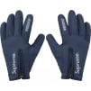 Thumbnail for WINDSTOPPER Zip Gloves