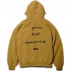 Thumbnail for Jane's Addiction Hooded Sweatshirt