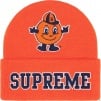 Thumbnail for Supreme Mitchell & Ness NCAA Beanie