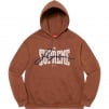 Thumbnail for Embroidered Chenille Hooded Sweatshirt