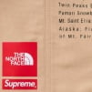 Thumbnail for Supreme The North Face Nylon Short