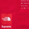 Thumbnail for Supreme The North Face Nylon Short