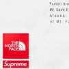 Thumbnail for Supreme The North Face Nylon Short