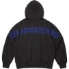 Thumbnail for Supreme Damien Hirst Zip Up Hooded Sweatshirt