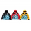 Thumbnail Supreme The North Face Statue of Liberty Mountain Jacket