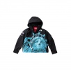 Thumbnail for Supreme The North Face Statue of Liberty Mountain Jacket