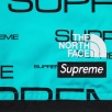 Thumbnail for Supreme The North Face Steep Tech Pant