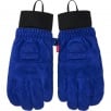 Thumbnail for Supreme The North Face Suede Glove