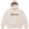 Thumbnail for Embroidered Script Hooded Sweatshirt