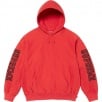 Thumbnail for Collegiate Sleeve Hooded Sweatshirt