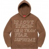 Thumbnail for Stronger Than Fear Hooded Sweatshirt