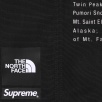 Thumbnail for Supreme The North Face Nylon Short