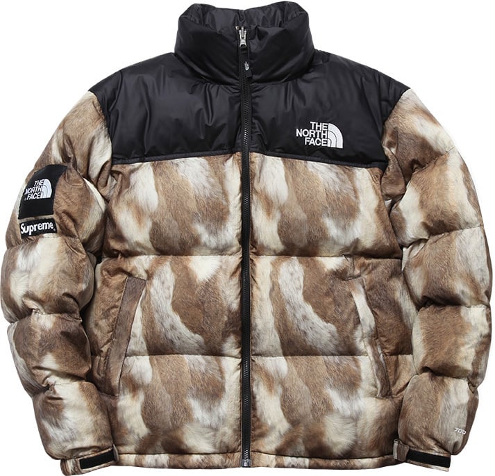 the north face and supreme jacket