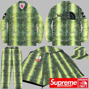 Supreme The North Face Part 2 Green Stuff