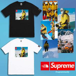 Supreme/The North Face Tee Leak Mountain Jacket