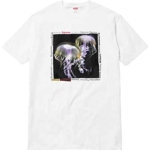 Details on Jellyfish Tee None from spring summer
                                                    2018 (Price is $36)