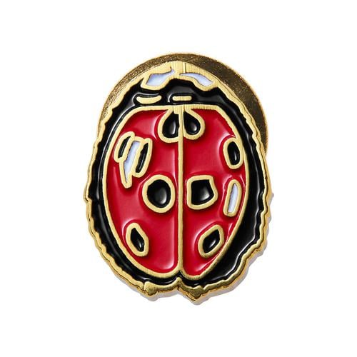 Details on Ladybug Pin from spring summer
                                            2018 (Price is $8)
