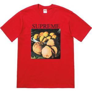 supreme still life tee terra cotta