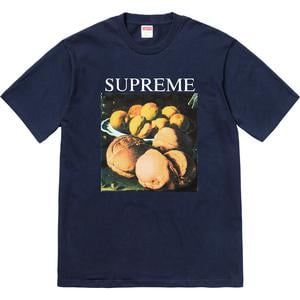 supreme still life tee terra cotta