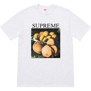 supreme still life tee terra cotta