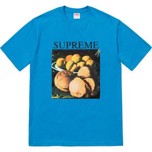 supreme still life tee terra cotta