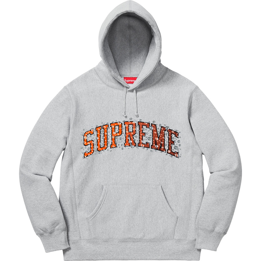 Details on Water Arc Hooded Sweatshirt Heather Grey from fall winter
                                                    2018 (Price is $158)