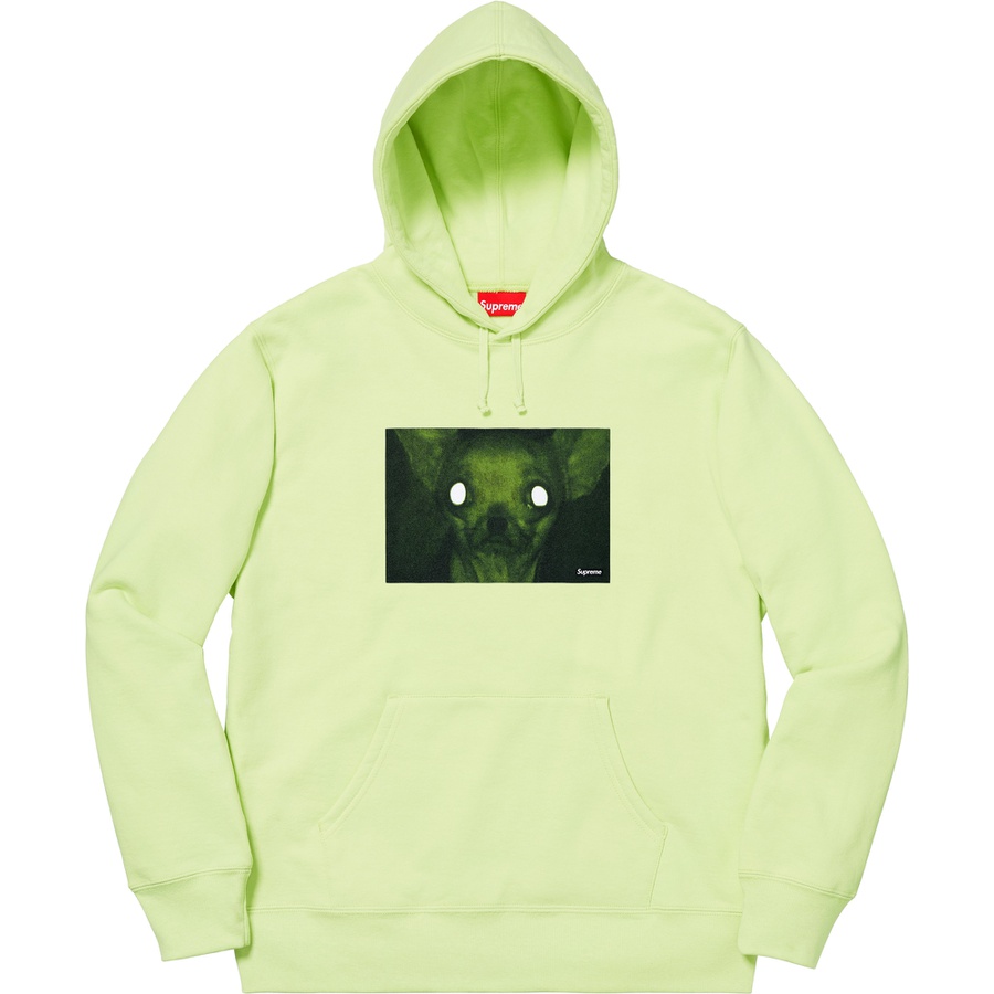 Details on Chris Cunningham Chihuahua Hooded Sweatshirt from fall winter
                                            2018 (Price is $158)