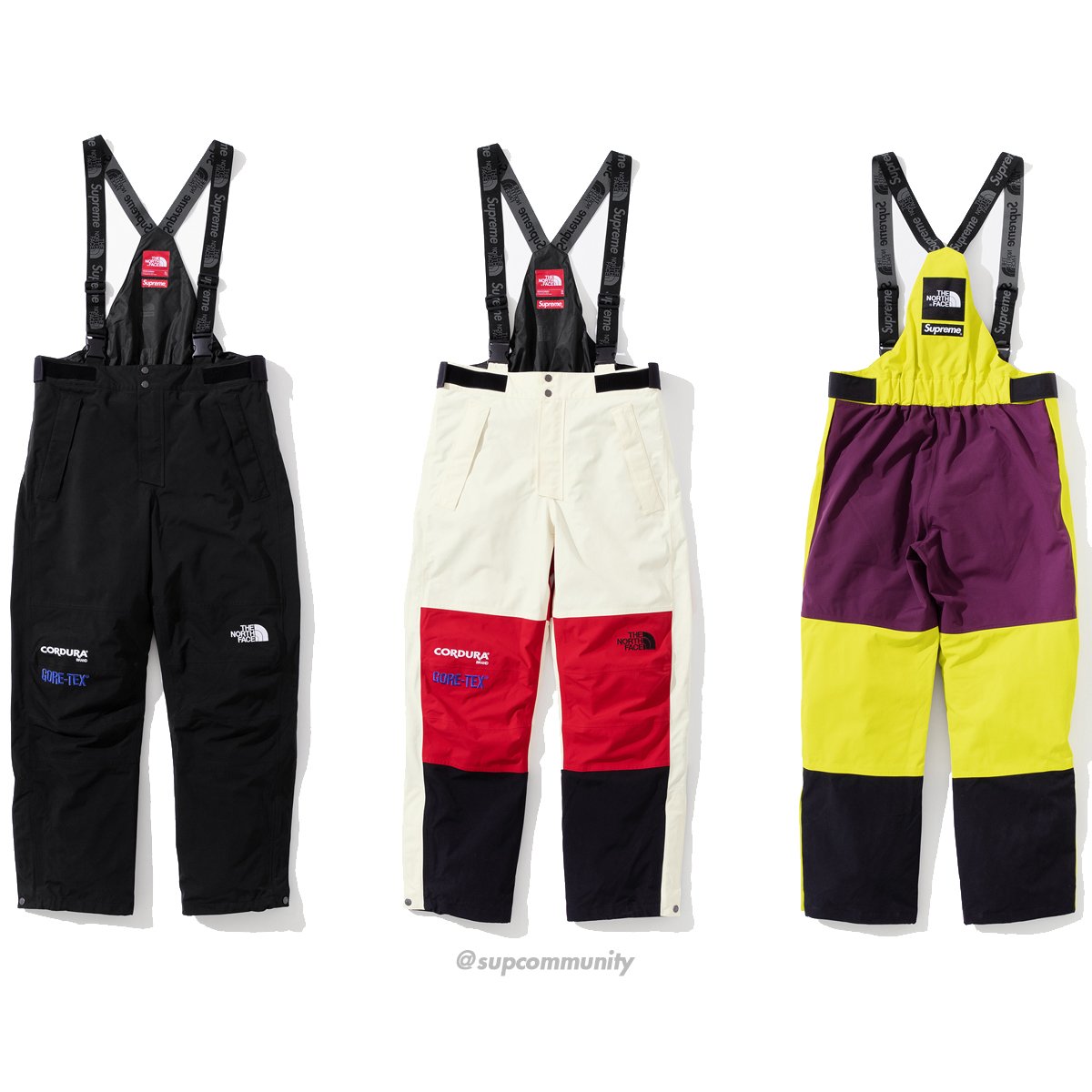 supreme north face expedition pant