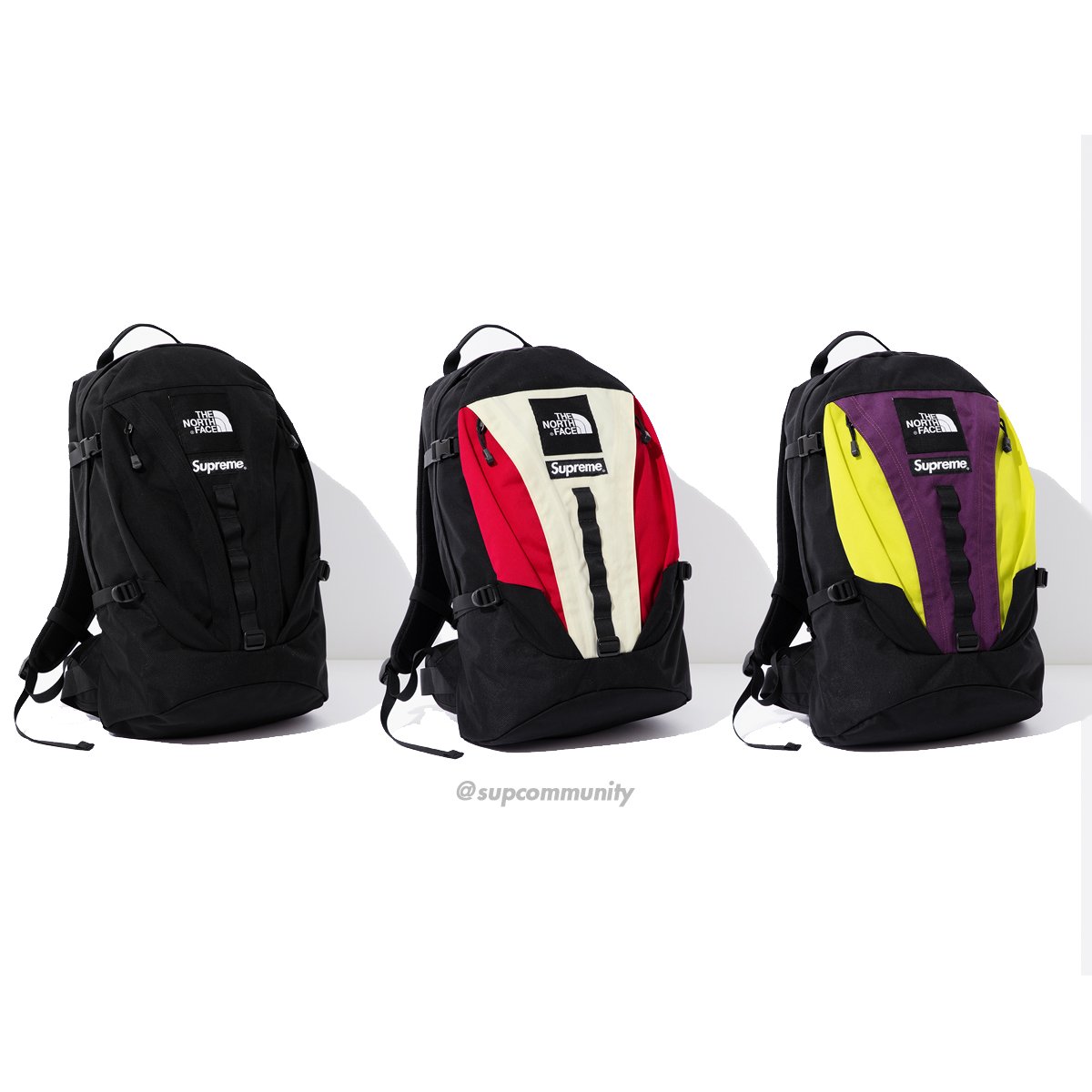 Supreme The North FaceExpeditionBackpack