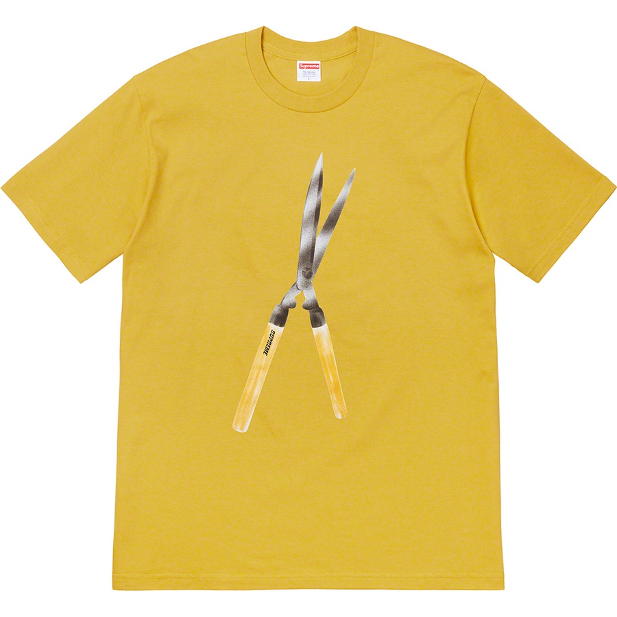 Details on Shears Tee Acid Yellow from spring summer
                                                    2019 (Price is $38)