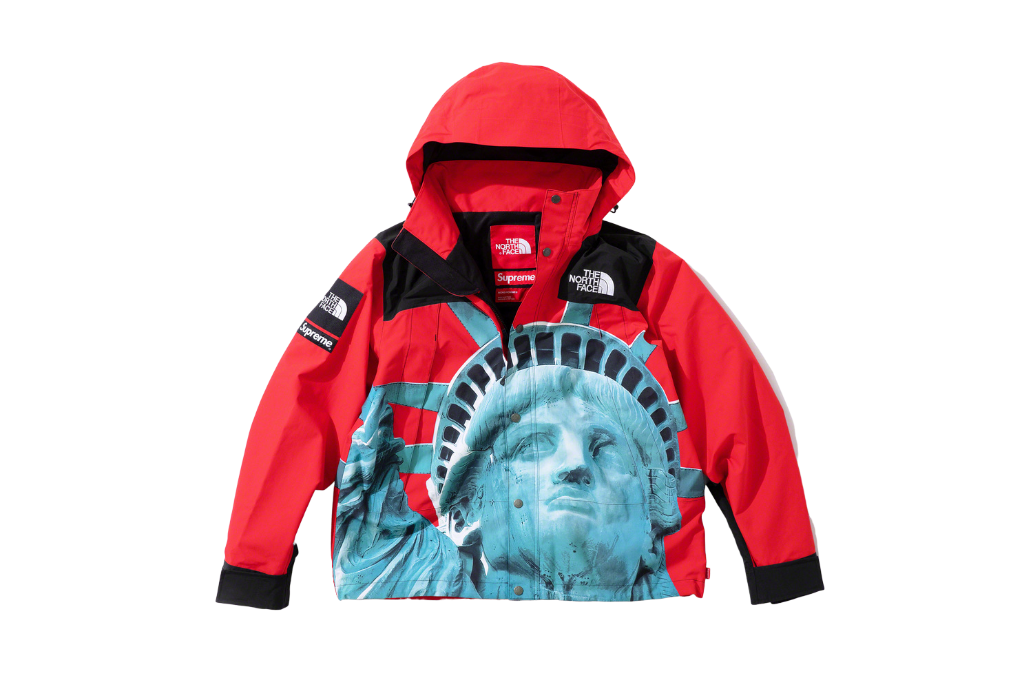 The North Face Statue of Liberty Mountain Jacket - fall winter
