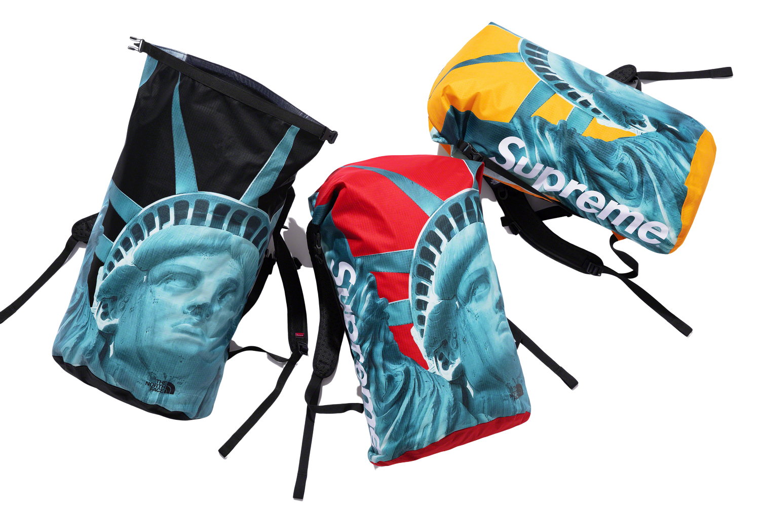 SUPREME x The North Face Statue of Liberty Waterproof Backpack Bag Rolltop  NEW