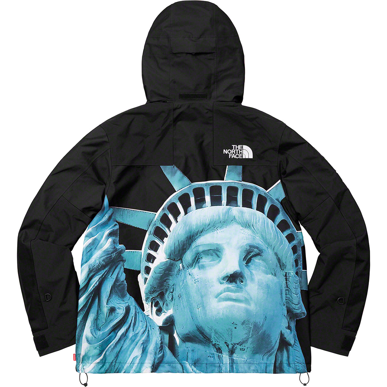 The North Face Statue of Liberty Mountain Jacket - fall winter ...