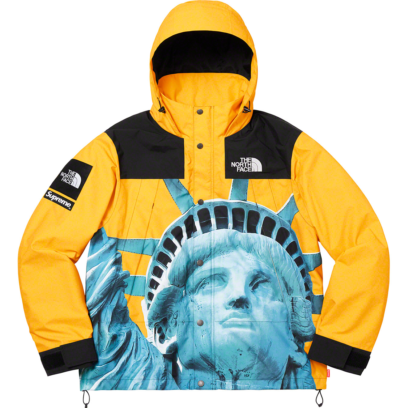 Supreme / The North Face Statue of Liberty Mountain Jacket Yellow