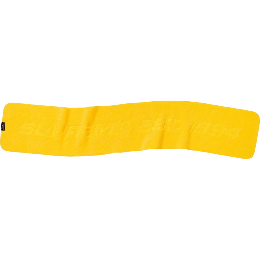 Details on Polartec Scarf Yellow from fall winter
                                                    2019 (Price is $48)