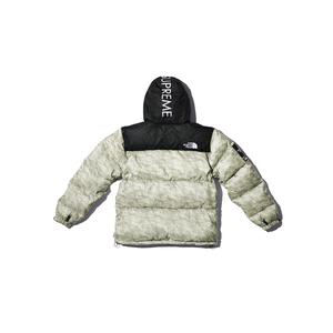 supreme the north face paper print